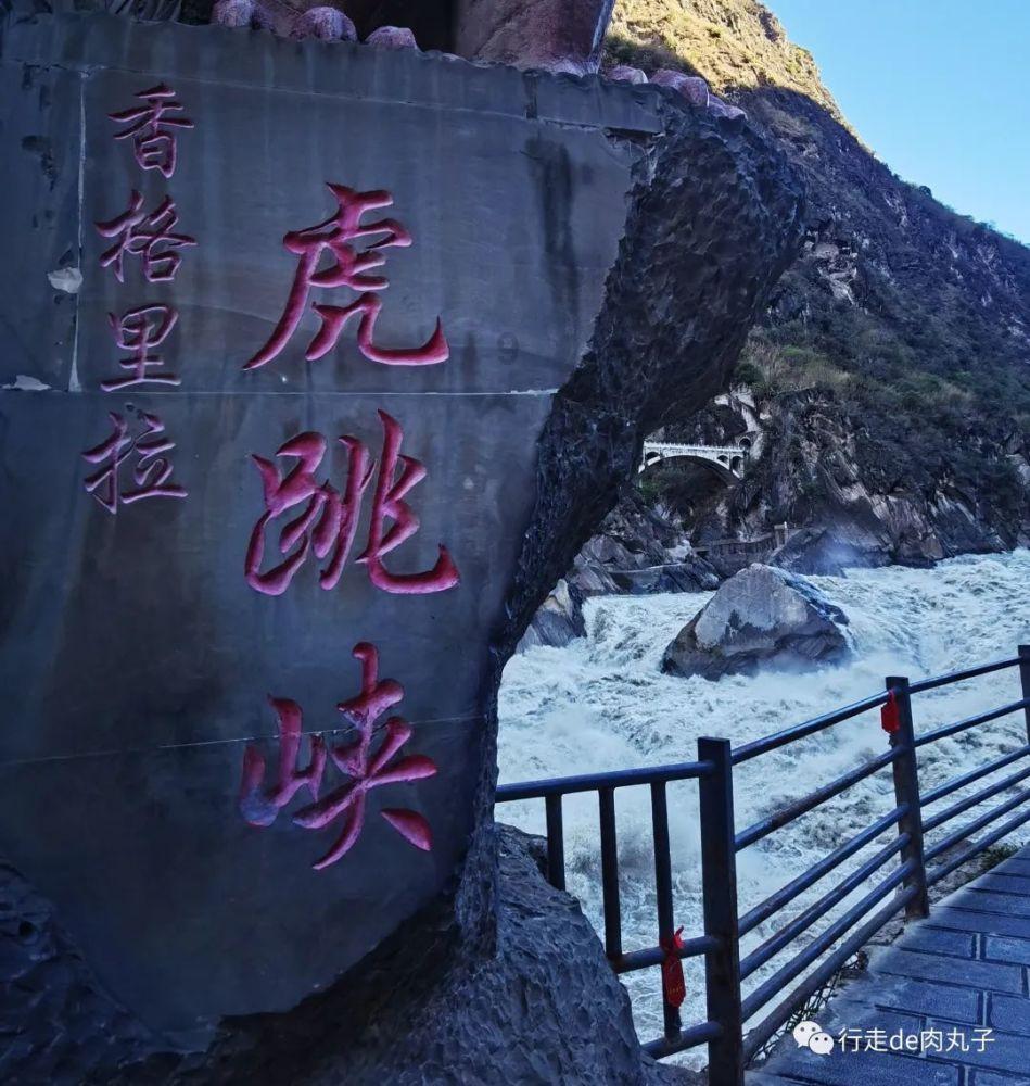 蓝狐视频