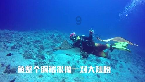 次元喵