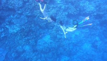 亚当寻找夏娃8