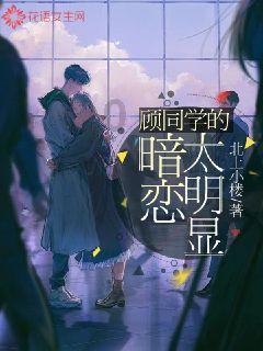 【小鸡出击】新伙伴！新玩法！新活动！小鸡联动喜羊羊版本上线！