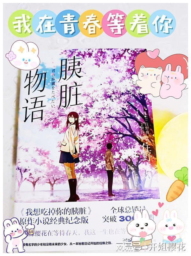 小猫钓鱼正版下载中文版