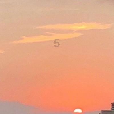 人类社会发展的一般规律在人类社会发展中是如何发挥作用的？游戏画面