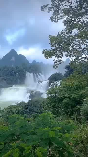 生化危机保护伞小队