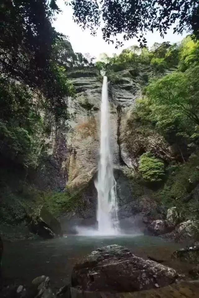 动物记忆大翻牌